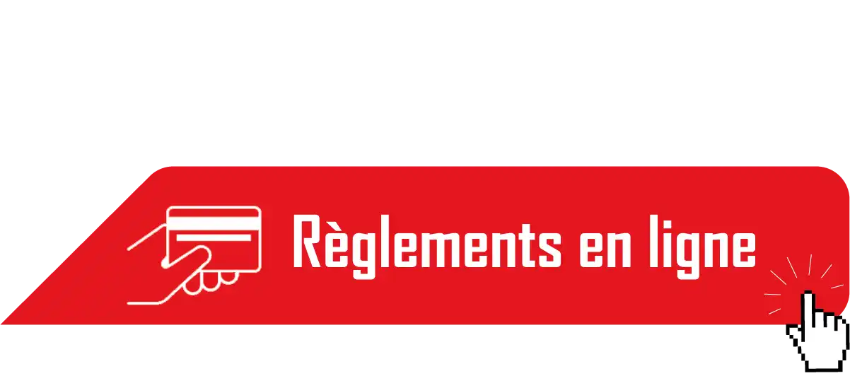 paiement en ligne